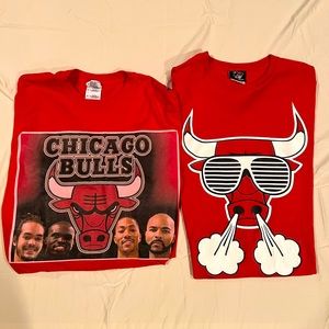 Lot of 2 Throwback Chicago Bulls 2010s T-Shirts, Adult Medium
